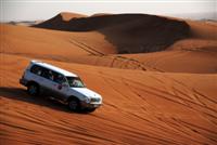 desertsafari.jpg